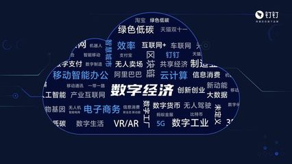 马云论断的深度解读 全面数字化时代，数字技术服务为何是“离技术远”行业的最大机会？